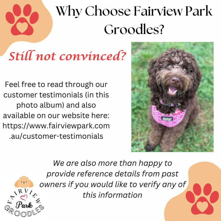 Fairview Park Groodles
