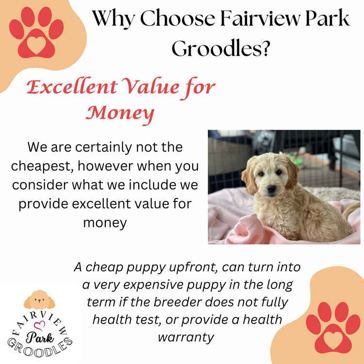 Fairview Park Groodles
