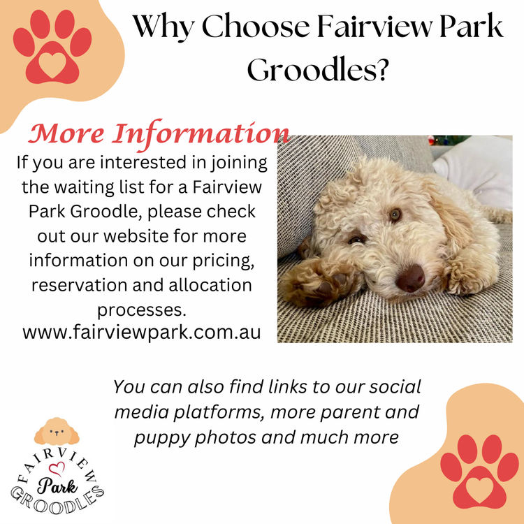 Fairview Park Groodles