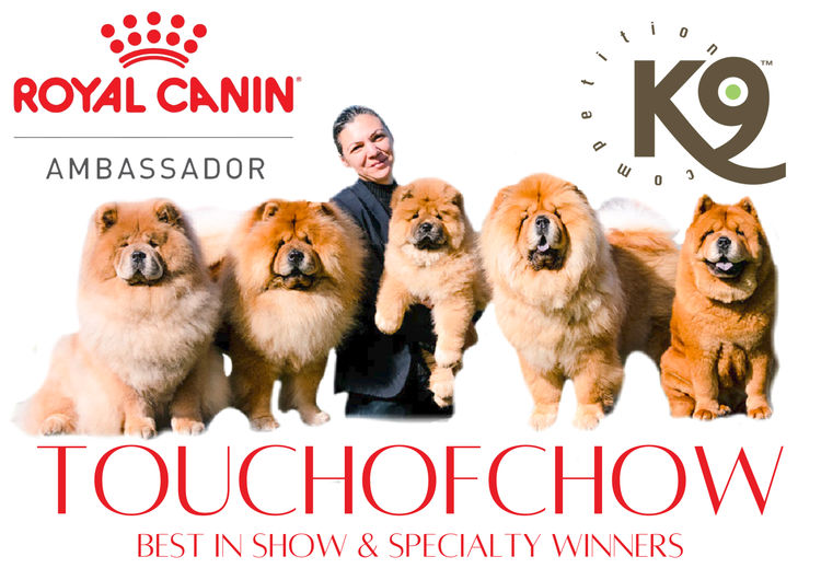 Touchofchow Chows Chows