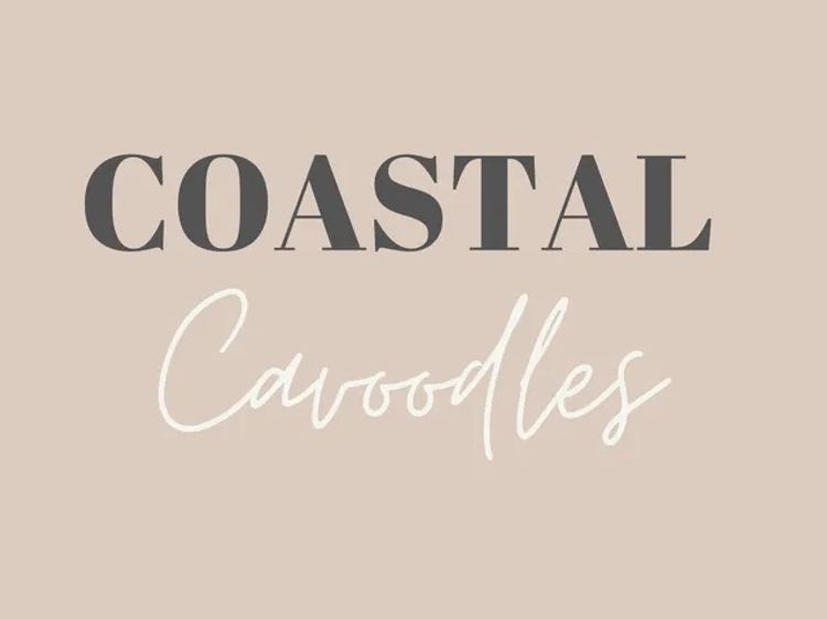Coastal Cavoodles SA