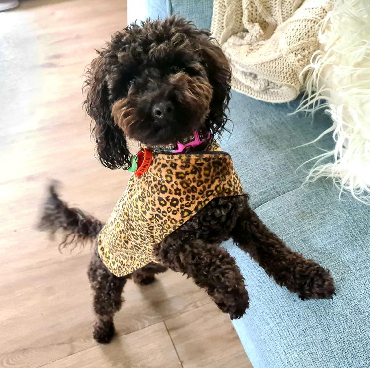 Fleurwoods