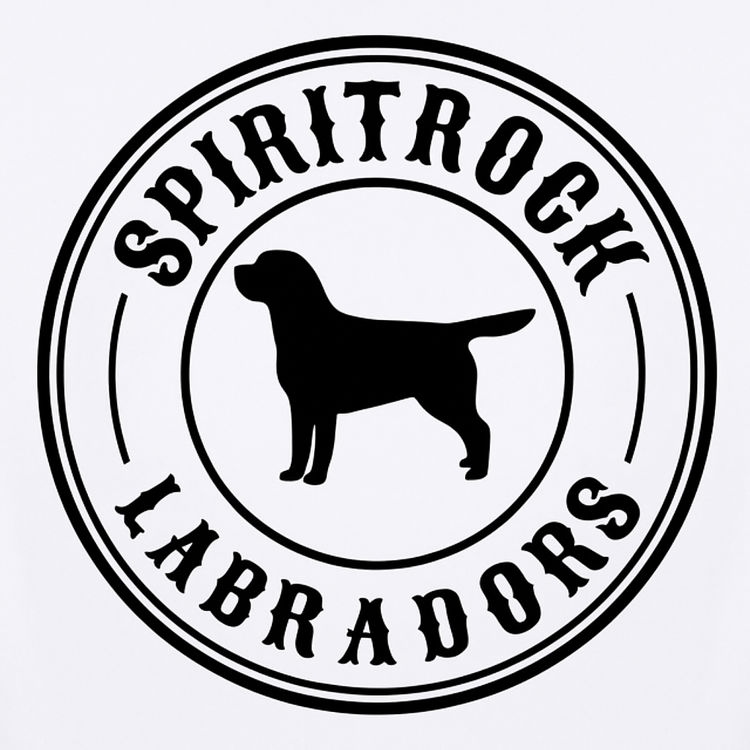 Spiritrock Labradors