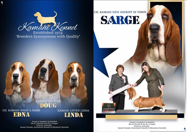 Kamahi Basset Hounds
