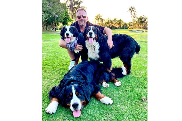ToDaMoon Bernese