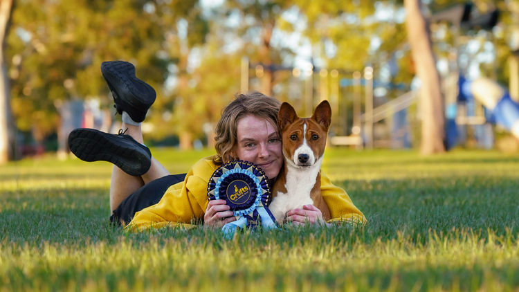 Glendawn Basenjis