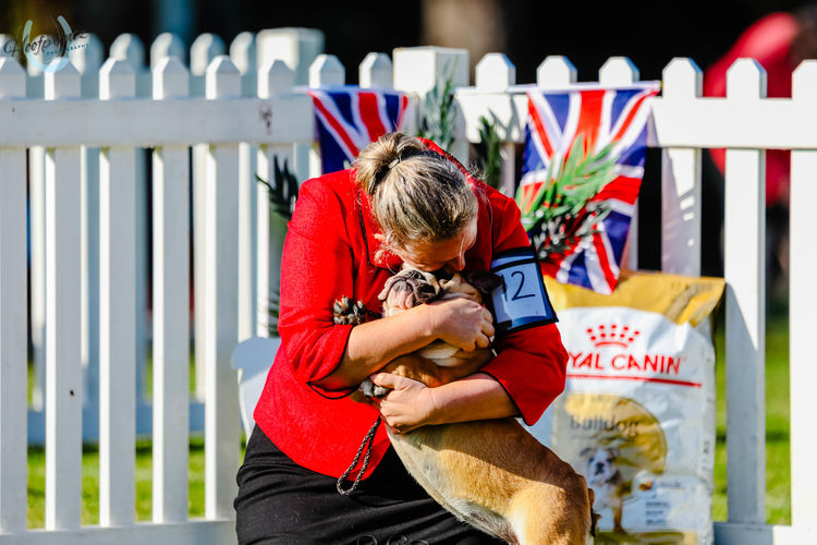 Majestueux British Bulldogs
