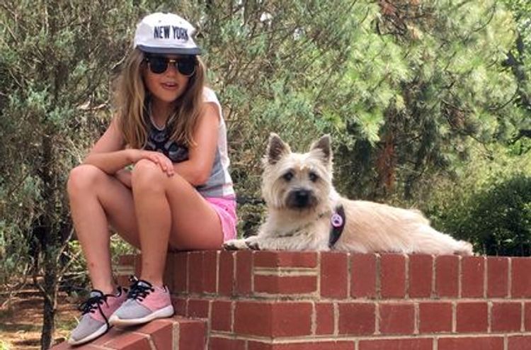 Emeraldcity Cairn Terriers
