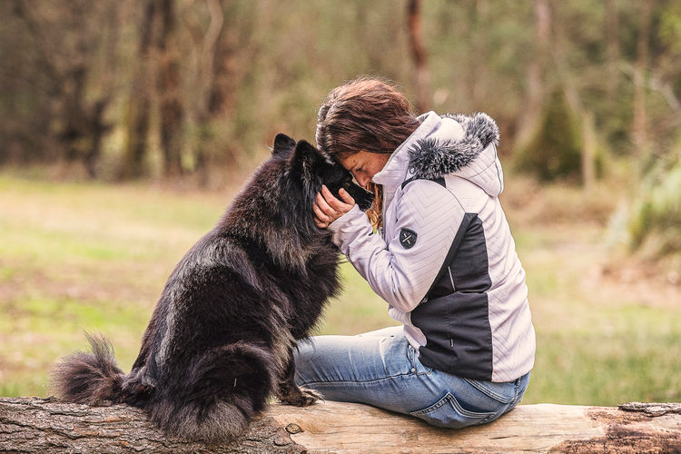 Ehana Finnish Lapphunds