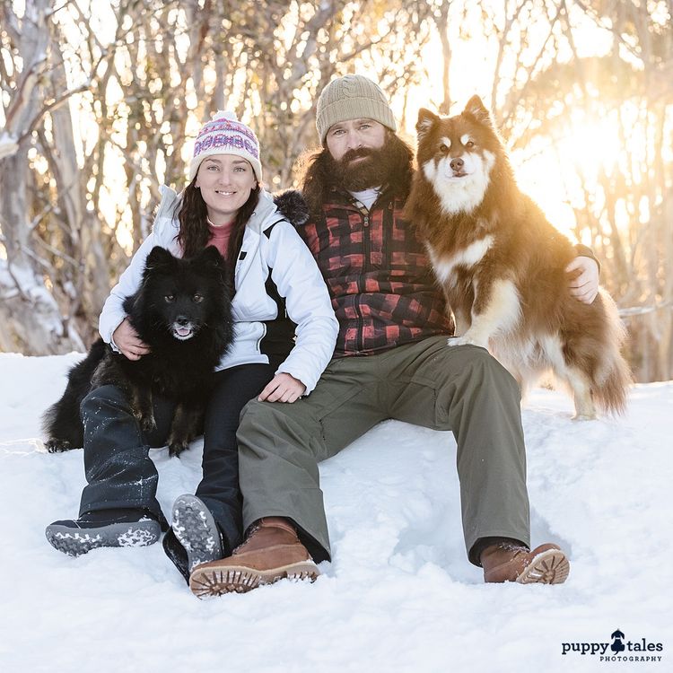 Ehana Finnish Lapphunds