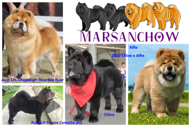 Marsanchow
