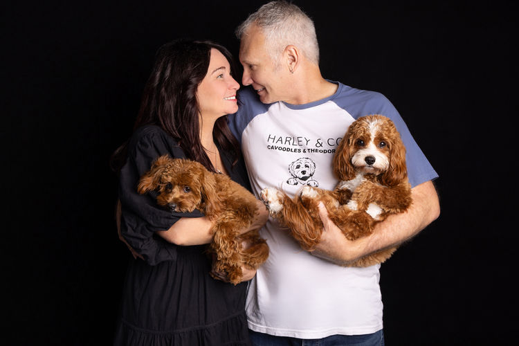 Harley & Co. Cavoodles / Love Me Harley Theodores