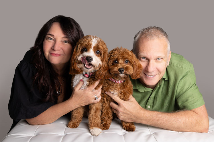 Harley & Co. Cavoodles / Love Me Harley Theodores