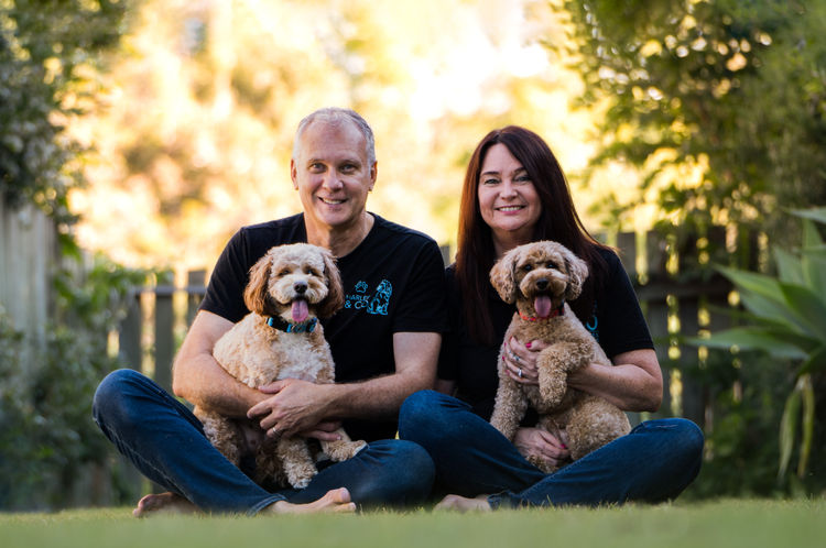 Harley & Co. Cavoodles / Love Me Harley Theodores