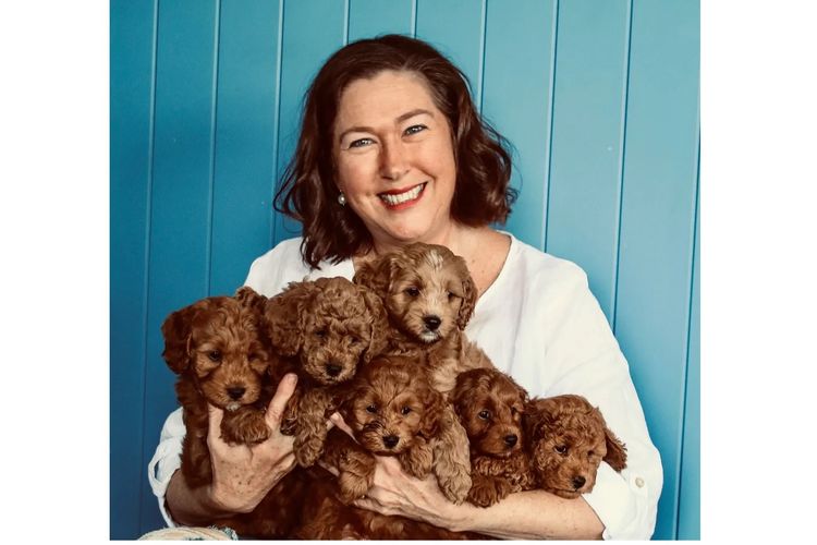 Bespoke Spoodles 🐾 Brisbane
