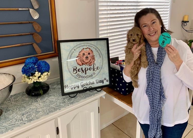 Bespoke Spoodles 🐾 Brisbane