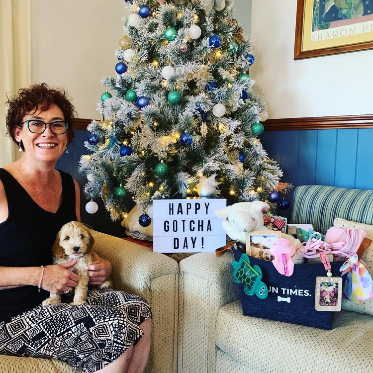 Bespoke Spoodles 🐾 Brisbane