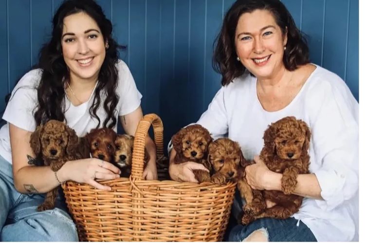 Bespoke Spoodles 🐾 Brisbane