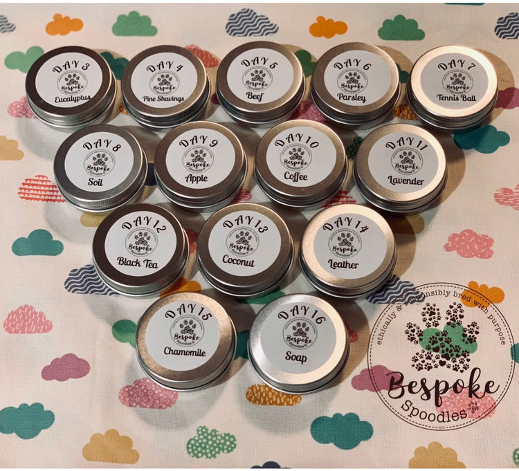 Bespoke Spoodles 🐾 Brisbane