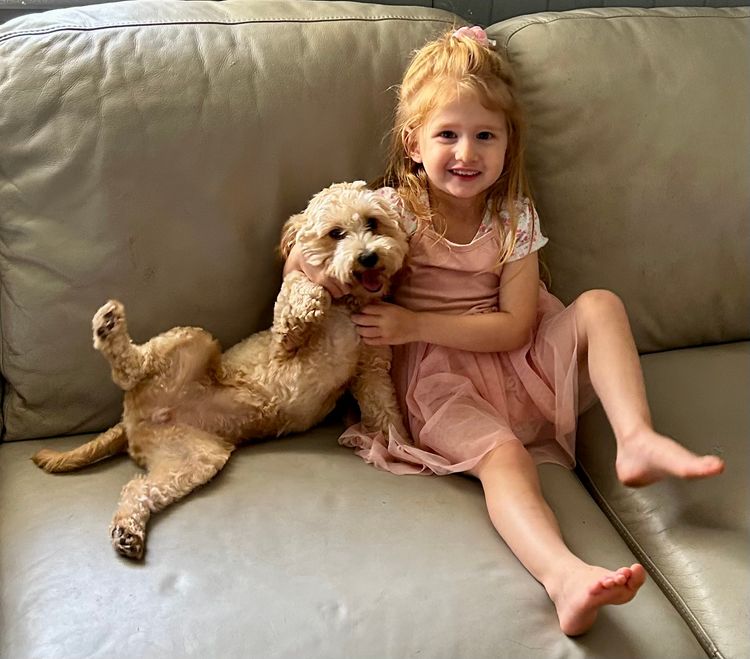 Ava's Moodles