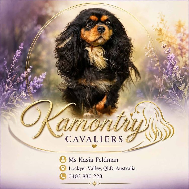 Kamontry Cavaliers