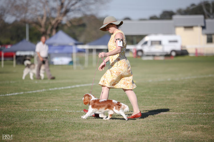 Kamontry Cavaliers