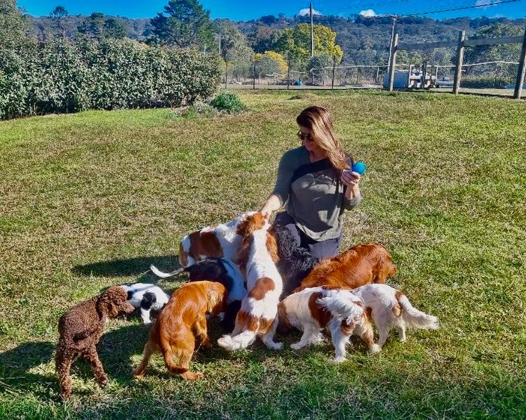 Magnetic Mountain Cavaliers