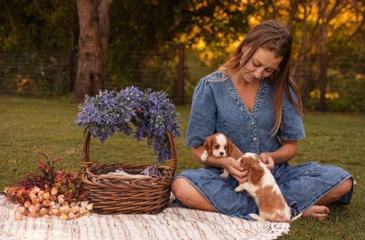 Sielle Place Cavaliers
