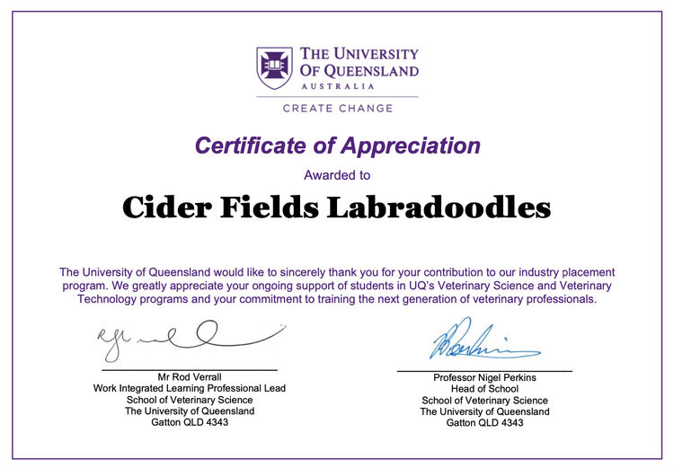 Cider Field Labradoodles -Multi-generation, top coats