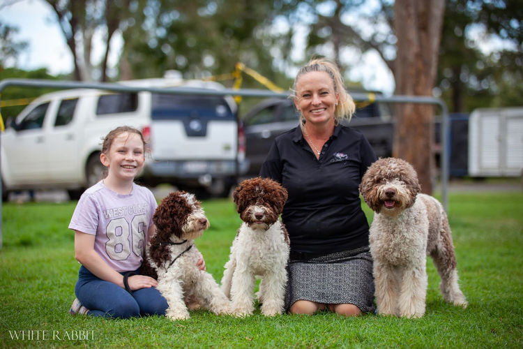 Lahdedah Lagotto Romagnolo