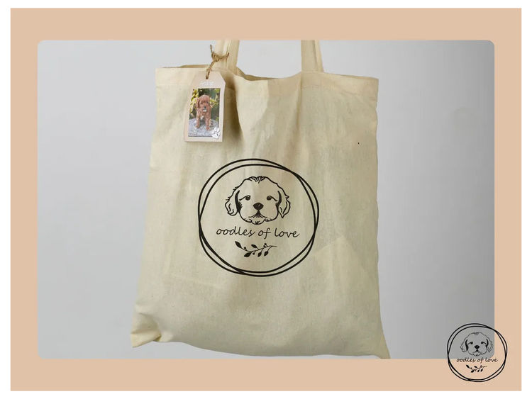 Oodles of Love - Cavoodles