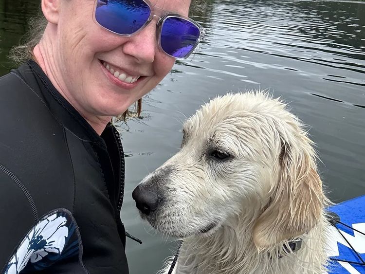 Super Canine Golden Retrievers