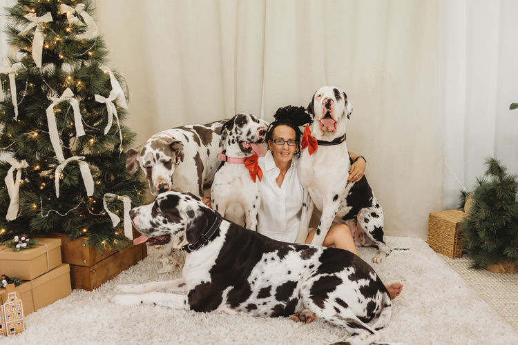 Hunter Valley Great Danes