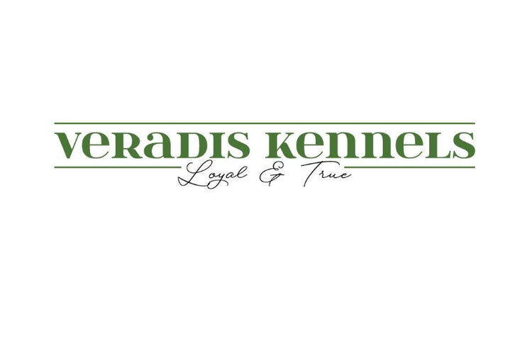 Veradis Dobermanns