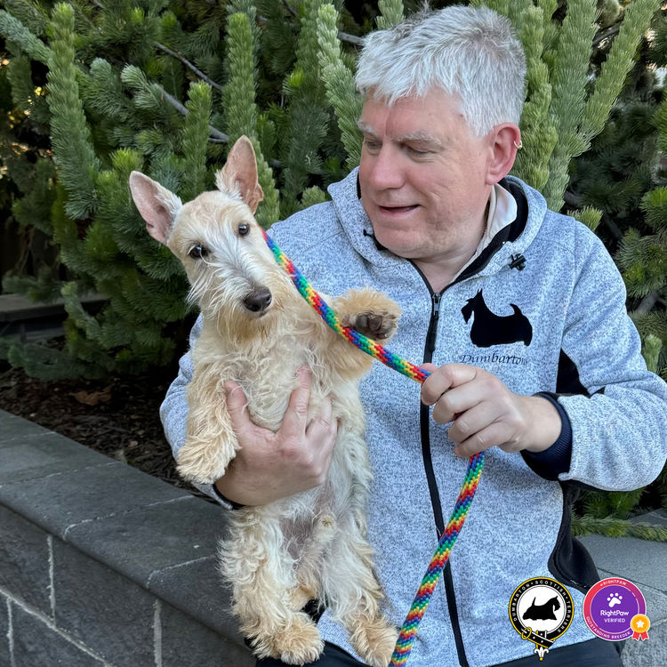 Dumbarton Scottish Terriers (Melbourne, VIC)