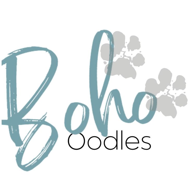 Boho Oodles - Groodles
