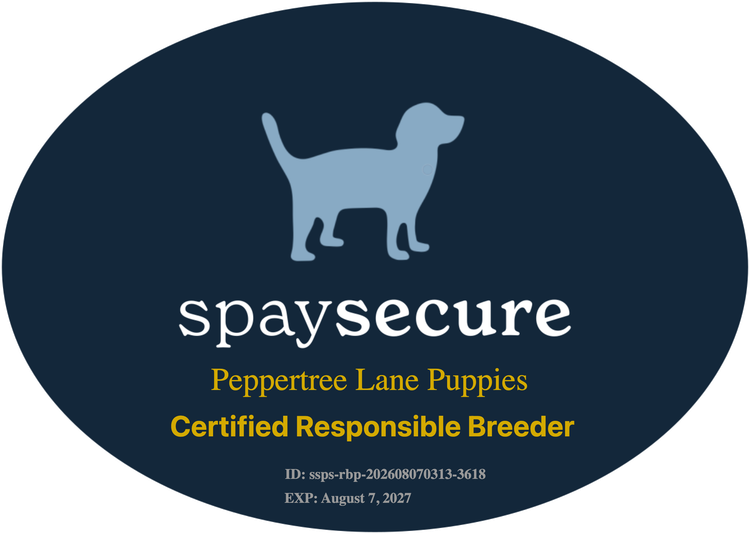 Peppertree Lane Cottage Retrievers