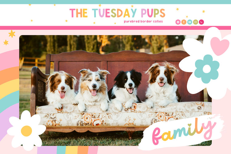 The Tuesday Pups