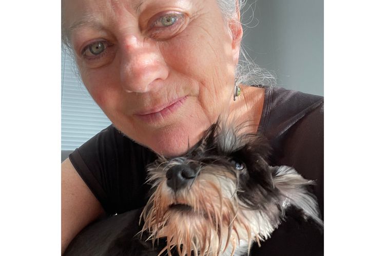 Magicpipsqueak Miniature Schnauzers