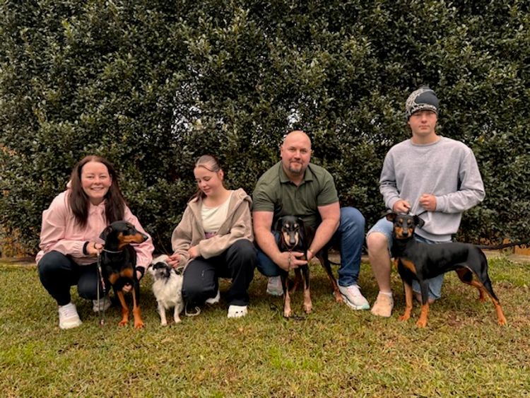 New Asgard Kennels - German Pinscher