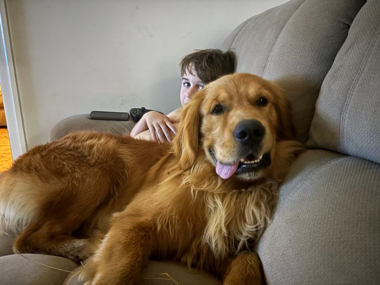 Oakover_Retrievers