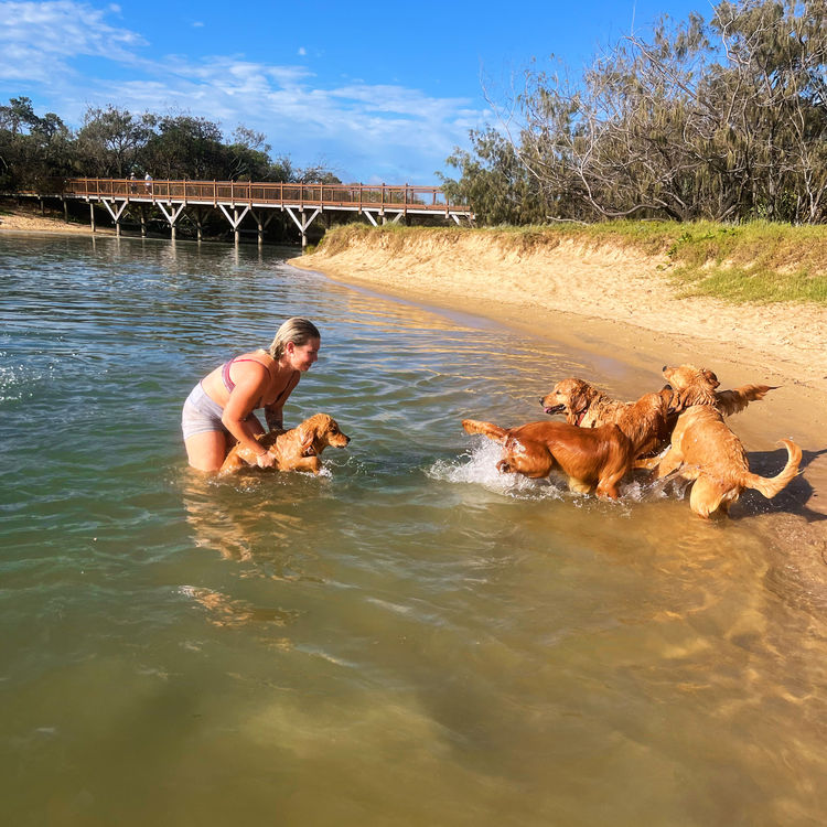 Oakover_Retrievers