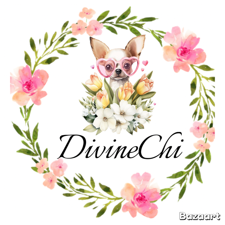 DivineChi Chihuahuas