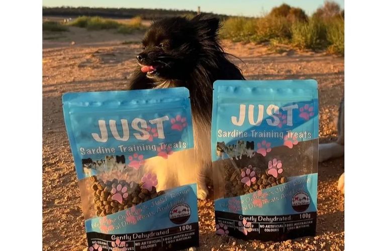 Pomeranians life in the outback