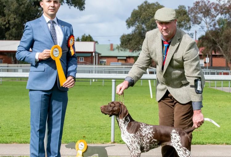 Noble Kennels German Shorthaired Pointer