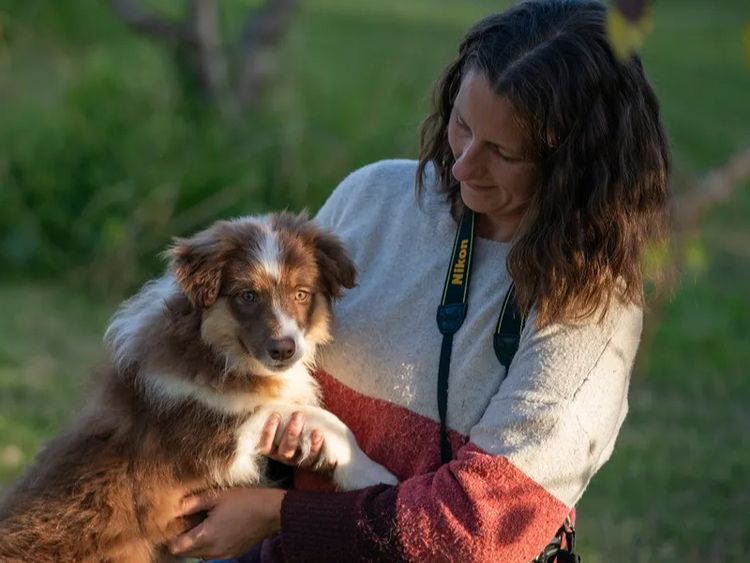 Redrobiena Border Collies