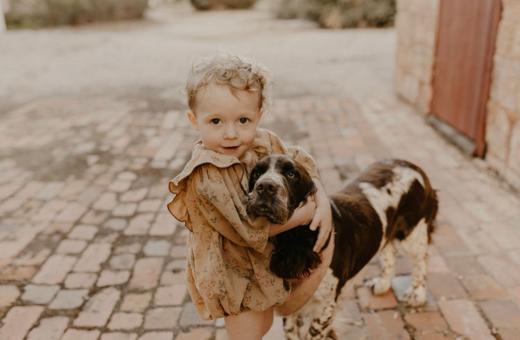 Merryweather English Springer Spaniels