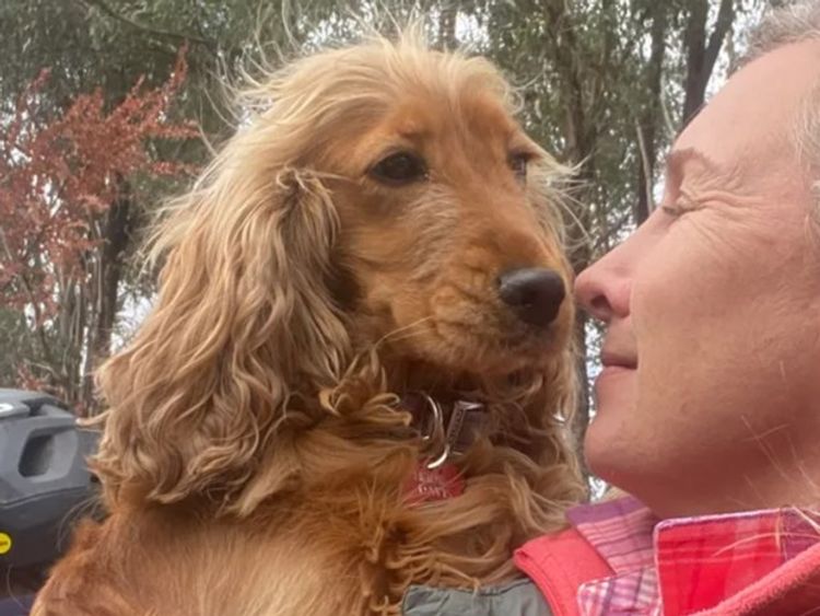 Pepper Tree Cocker Spaniel