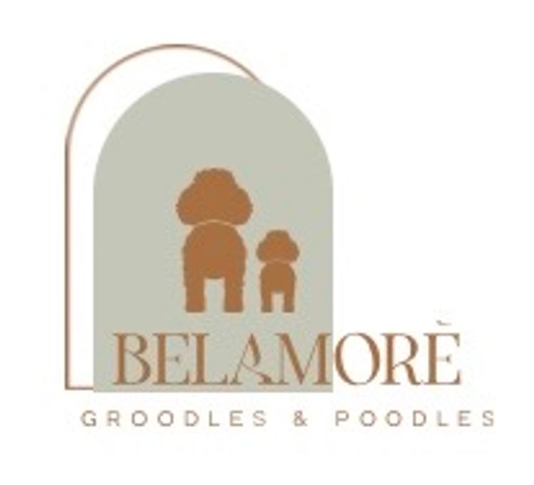 Belamorè Groodles & Poodles