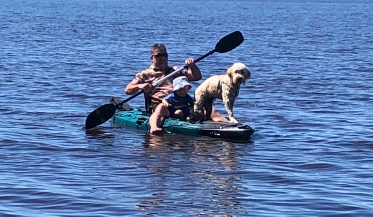 Moreton Bay Groodle’s